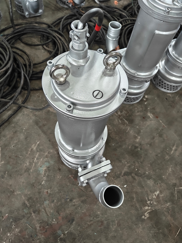 WQ小型潛水排污泵