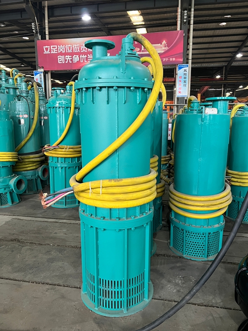 BQS55礦用排沙泵